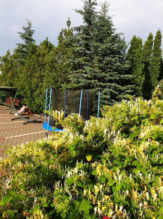 Pensiunea Confort Scheia Buitenkant foto