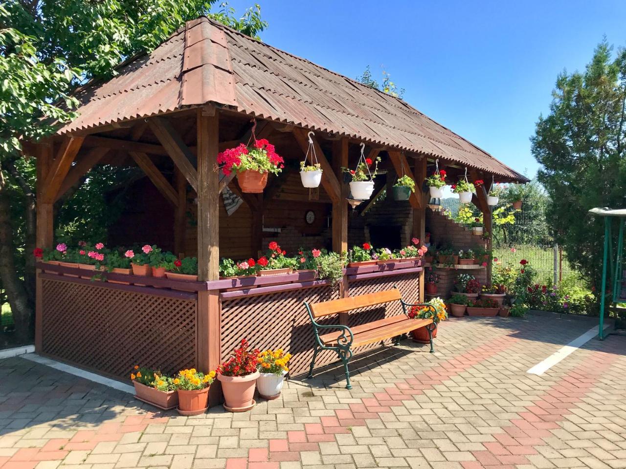 Pensiunea Confort Scheia Buitenkant foto